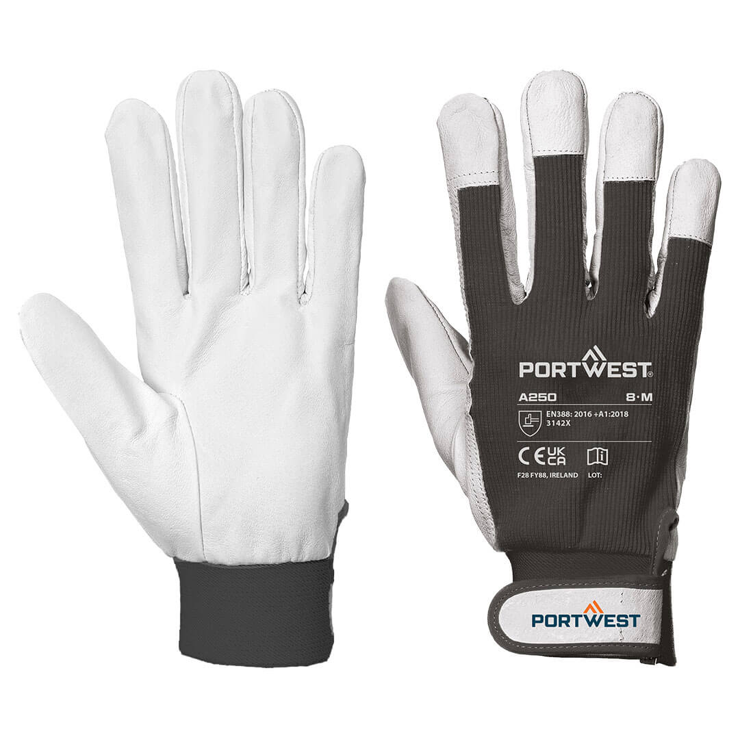 Tergsus Glove Re-usable Gloves A250